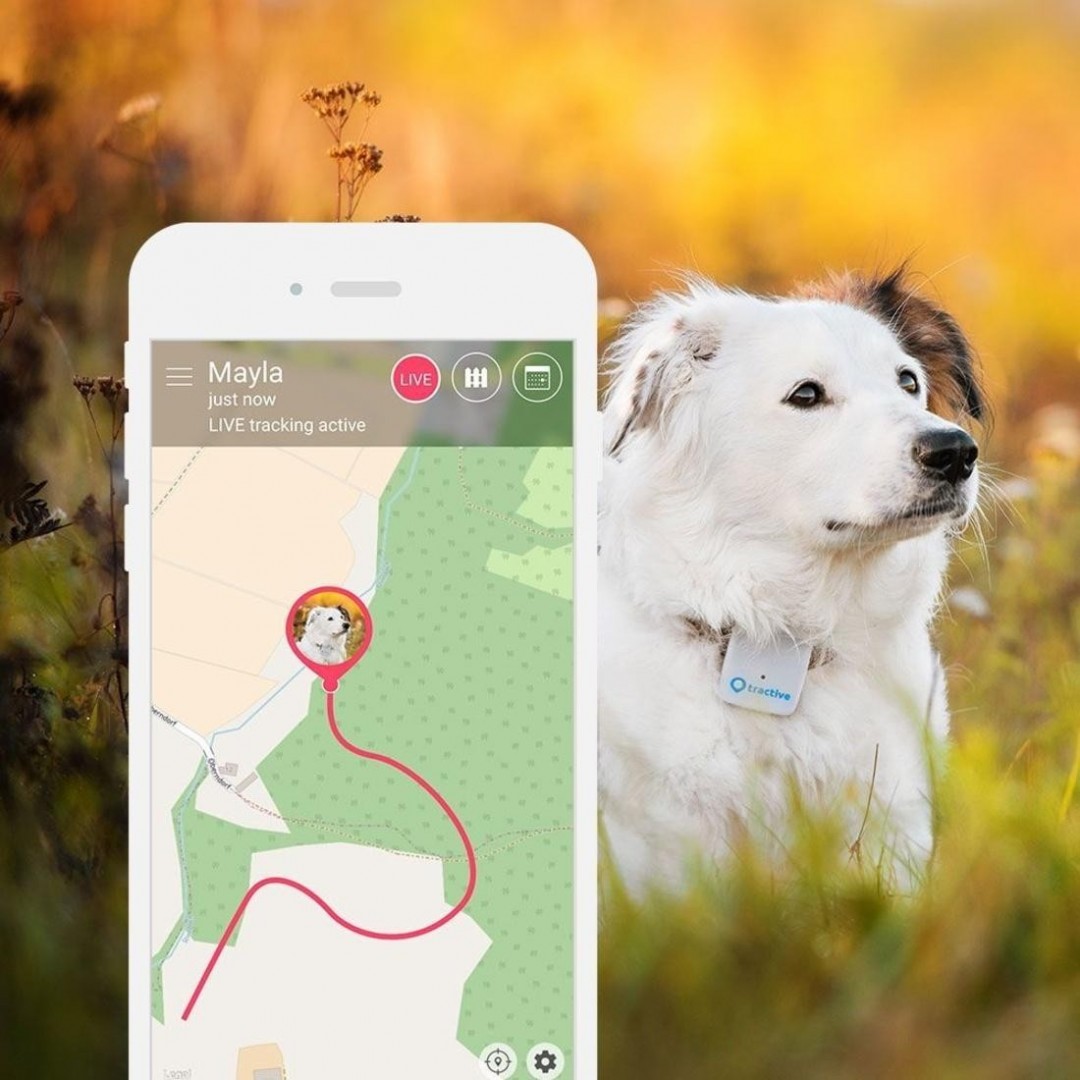 Tractive GPS tracker pre psov a ďalšie